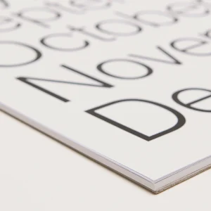 Marjolein delhaas 365 Wall Planner