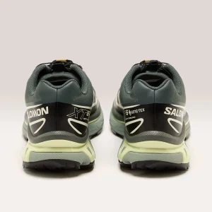 Salomon XT-6 Gore-tex voor Vrouwen