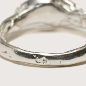 Simuero Faro en ring