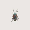 Trovelore Snowdon Beetle Broche
